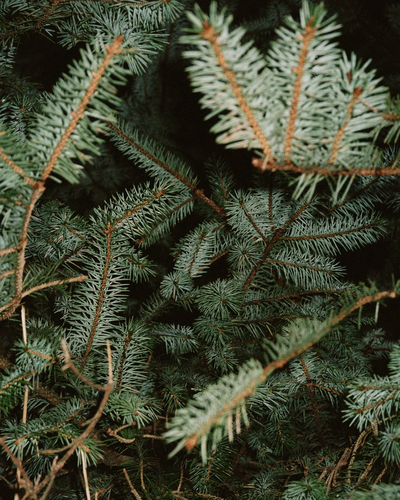 000081190016 1438x1798 a023db4b c35c 4264 99d3 baea06c683b1 jpg