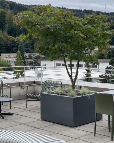 47 DF8 D0 D 2 C21 432 B BFEA 46202 E38 D733